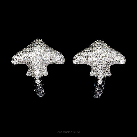 Kolczyki PŁASZCZKA z cyrkoniami