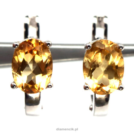 Kolczyki z cytrynami